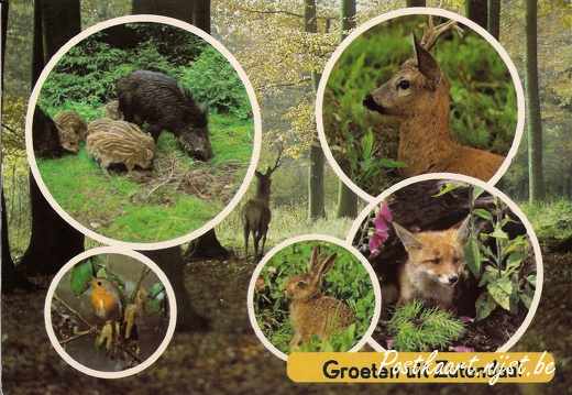 Groeten uit-19a