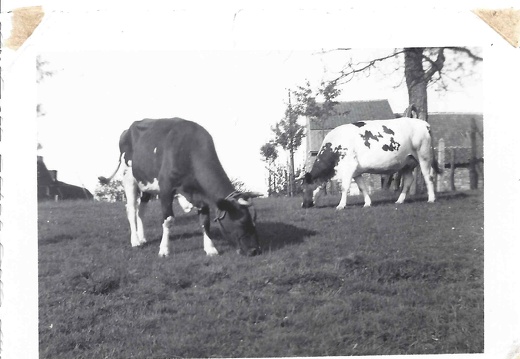 Foto 1938 vanuit huidige O.L.Vrouwestraat