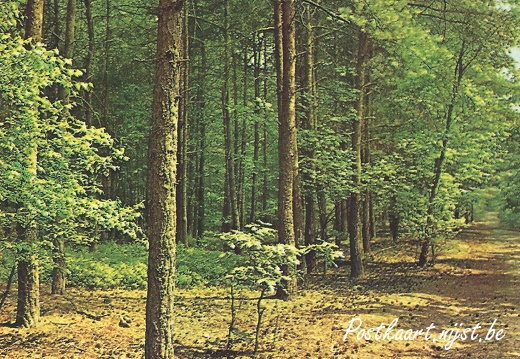 Mooi Zutendaal-41a