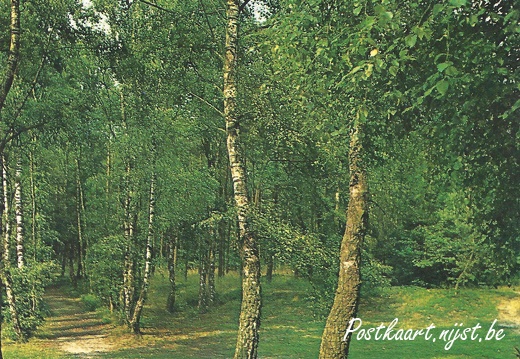 Mooi Zutendaal-31a