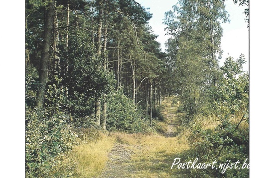 Jos-Pé Print-35a