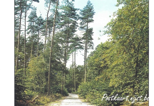 Jos-Pé Print-37a