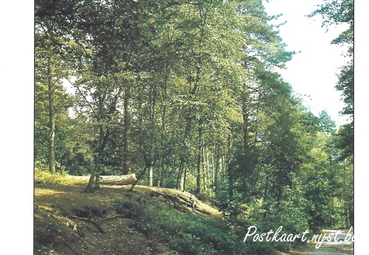 Jos-Pé Print-38a