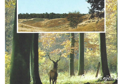Jos-Pé Print-48a