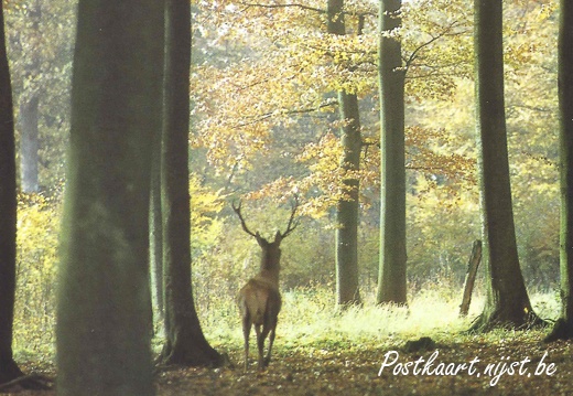 Jos-Pé Print-14a