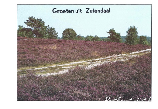 Jos-Pé Print-21a