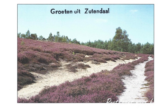 Jos-Pé Print-22a