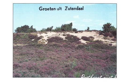 Jos-Pé Print-23a
