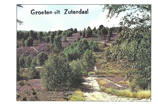 Jos-Pé Print-25a