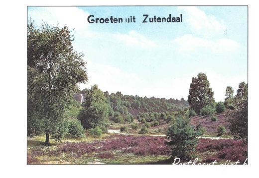Jos-Pé Print-26a