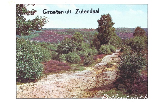 Jos-Pé Print-27a