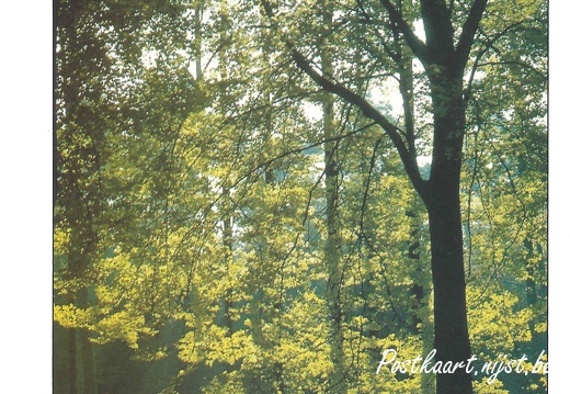 Jos-Pé Print-32a