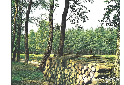 Jos-Pé Print-33a