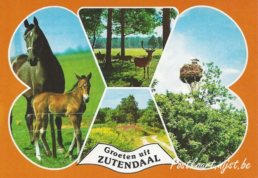 Van Leer-20